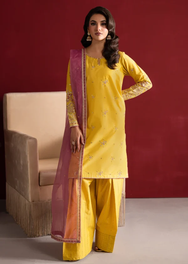 Sapna 3Pc- Festive Luxe Pret