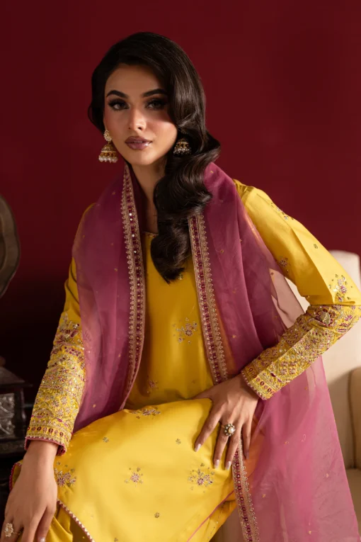 Sapna 3Pc- Festive Luxe Pret - Image 3