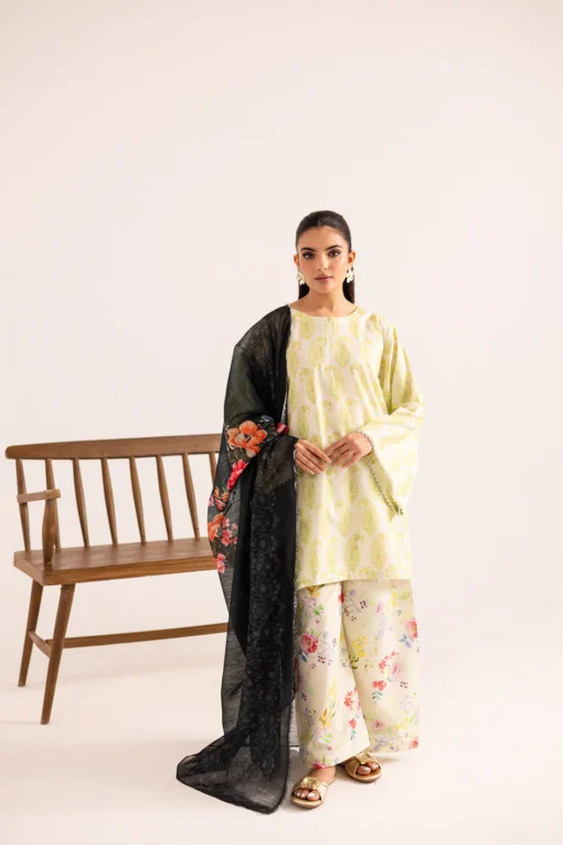 3PC Printed Basic