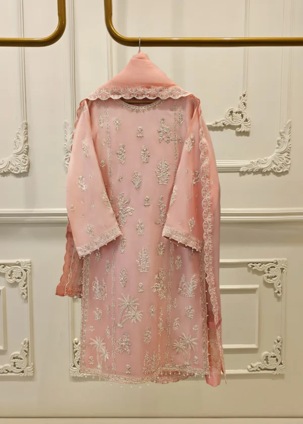 3 Piece - Pure Organza Embroidered Suit