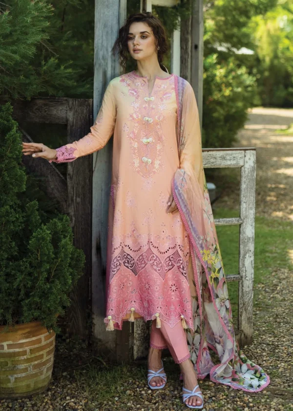 Lawn - Mushq - Solace Ombre Chikankari - MC25#04 - RisateMushq