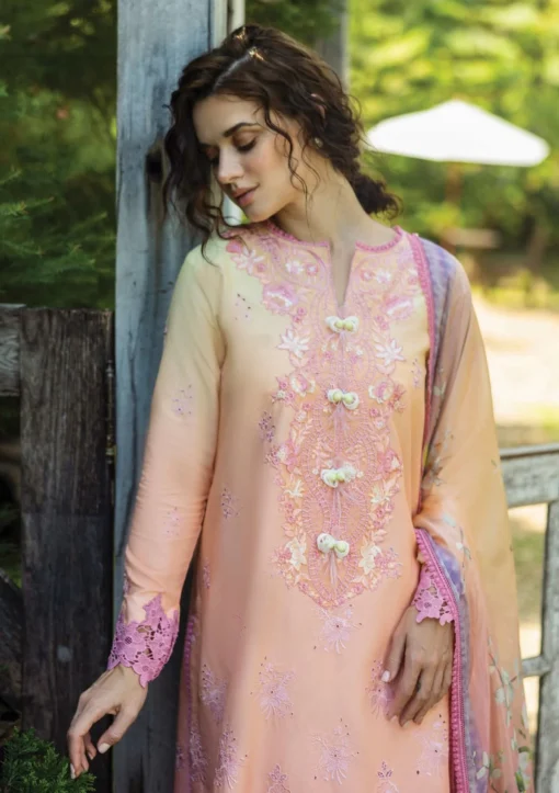 Lawn - Mushq - Solace Ombre Chikankari - MC25#04 - RisateMushq - Image 2
