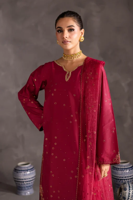 Nimbus 3pc - Festive Luxe Pret - Image 4