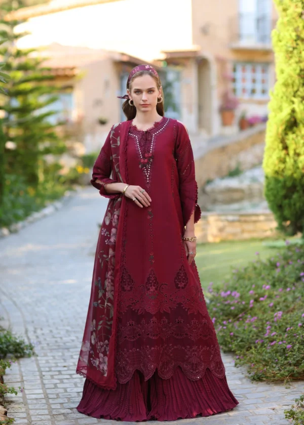 Noor by Saadia Asad Luxe Chikankari Unstitched Lawn 3Pc Suit D6-A