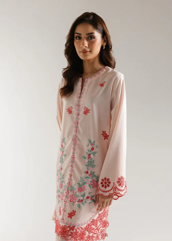 ETHNC EMBROIDERED SUIT