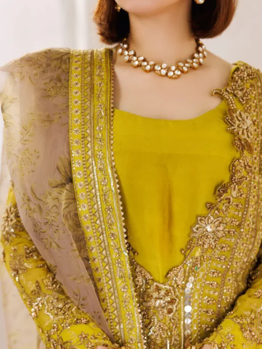 Charizma Dastan-e-Jashan Luxury Chiffon Unstitched 3Pc Suit DJ5-04 - Image 3