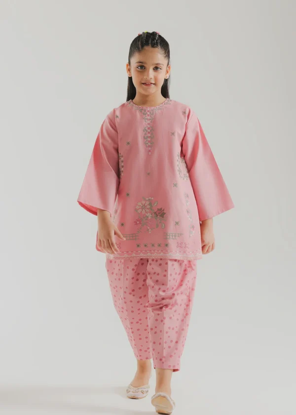 EMBROIDERED SUIT