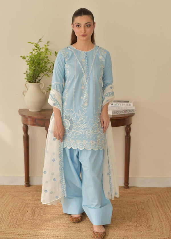 Woman wearing a sky blue embroidered Pakistani 3 piece suit with white embroidered dupatta and cuffed trousers